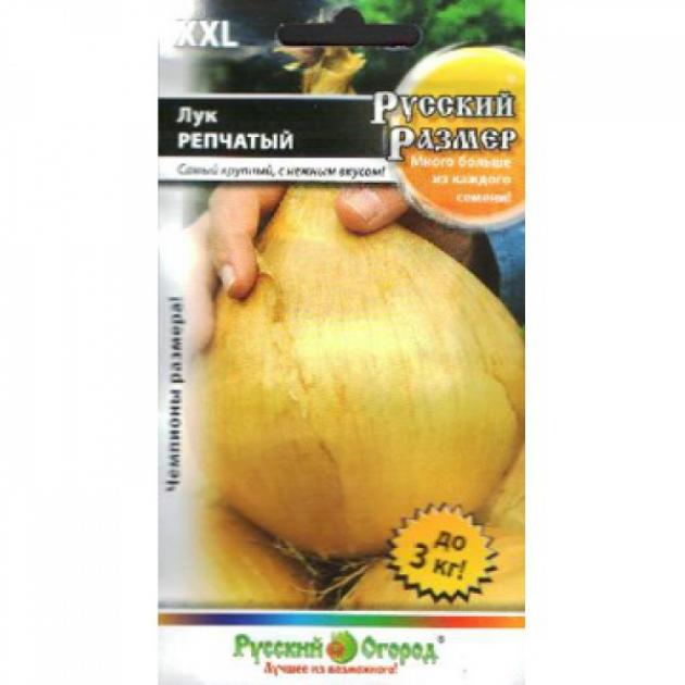 Лук Русский размер 2