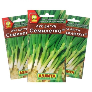 Лук Семилетка