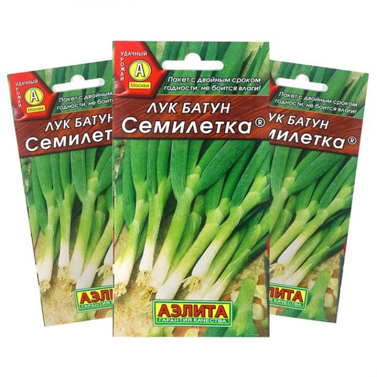 Лук Семилетка