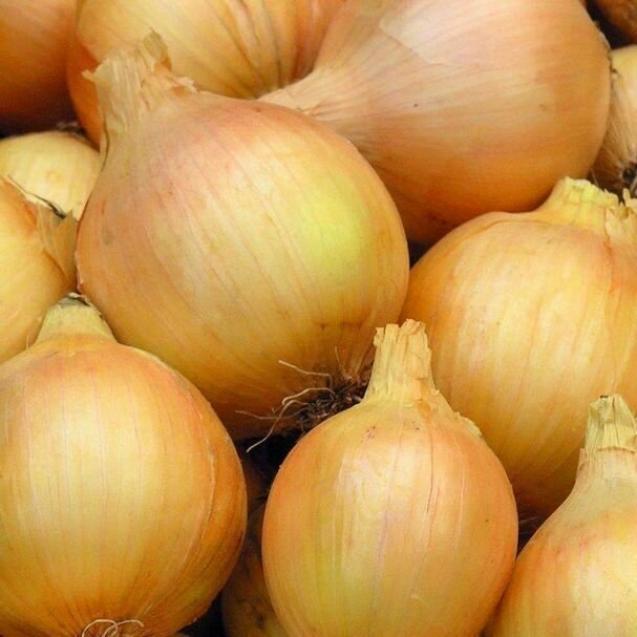 Лук Сибирь 2