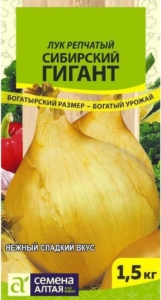 Лук Сибирский гигант