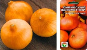 Лук Сибирский однолетний