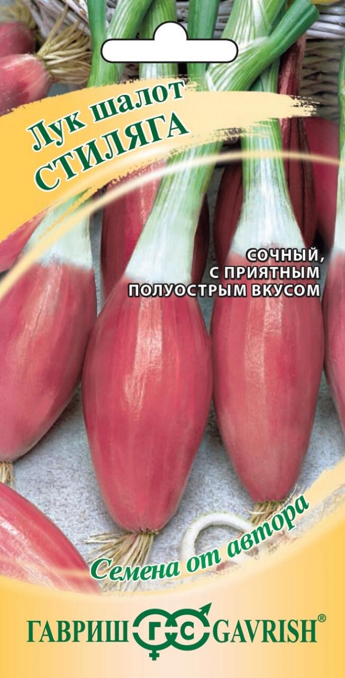 Лук Стиляга 2