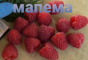 Малина Мапема