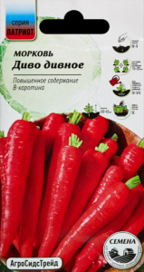 Морковь Диво дивное