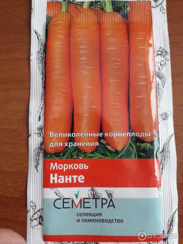 Морковь Нанте 2
