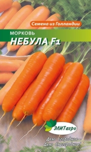 Морковь Небула