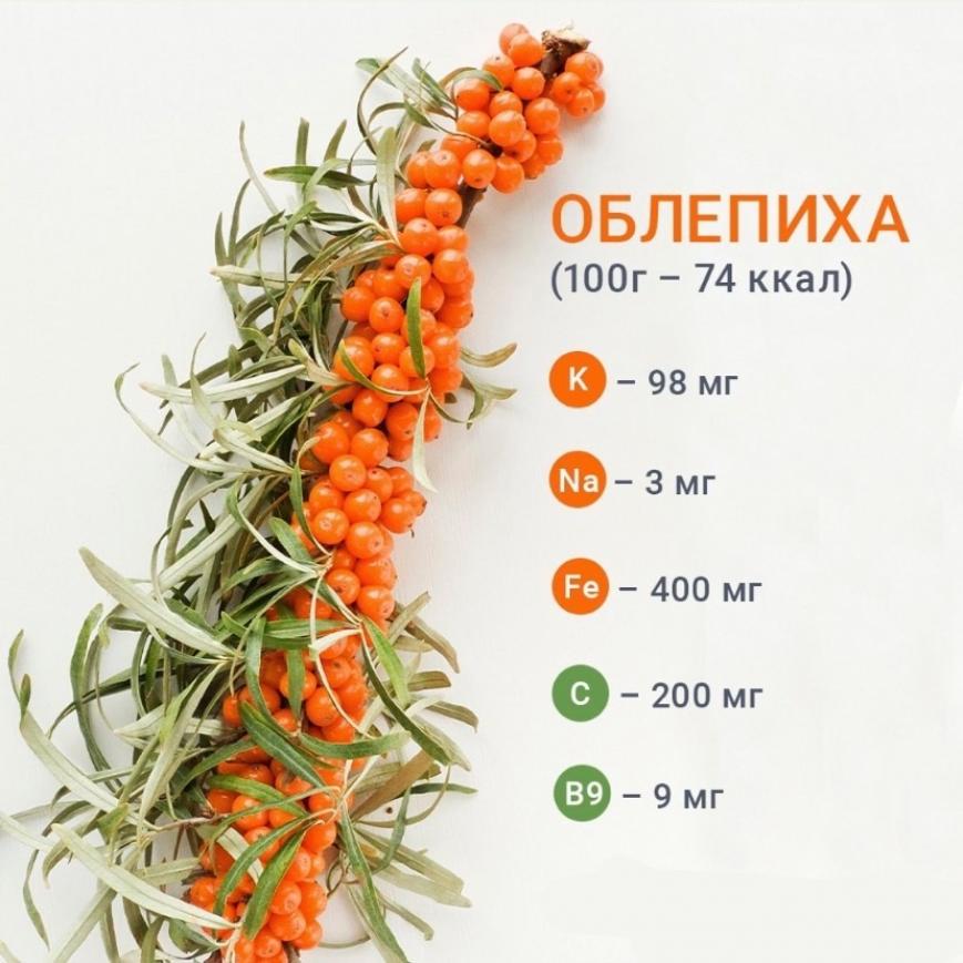 Облепиха Витаминная 2