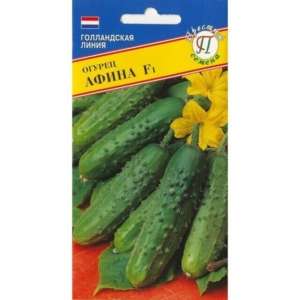 Огурец Афина