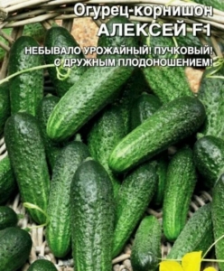 Огурец Алексей