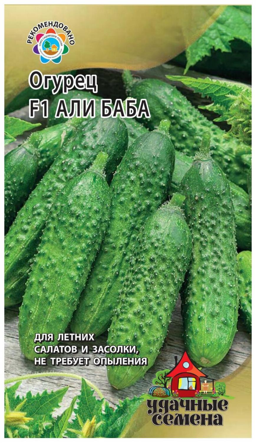 Огурец Али-Баба