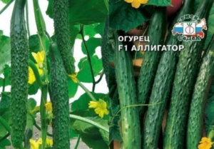 Огурец Аллигатор