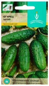 Огурец Алтай