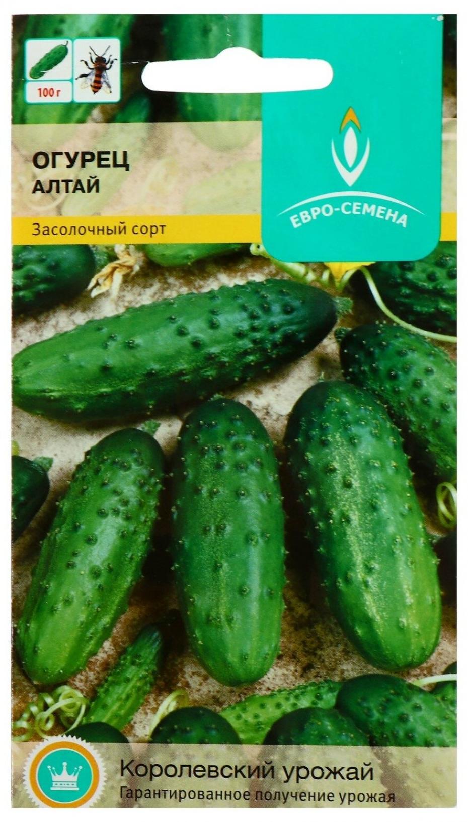 Огурец Алтай