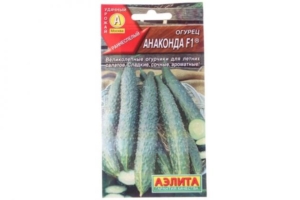 Огурец Анаконда