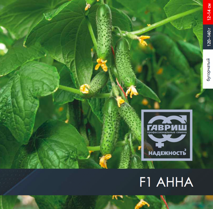 Огурец Анна 3