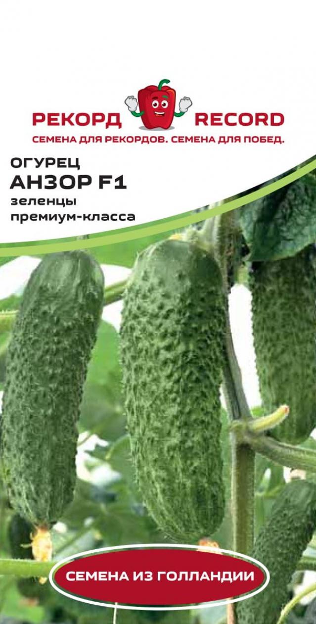 Огурец Анзор