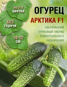 Огурец Арктика