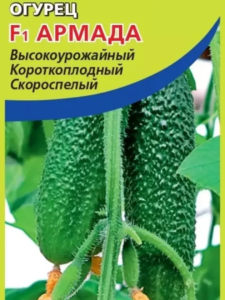 Огурец Армада