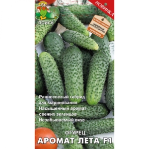 Огурец Аромат лета