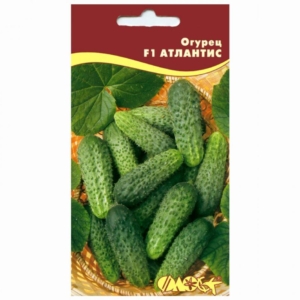 Огурец Атлантис