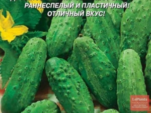Огурец Багратион