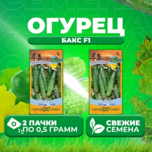 Огурец Бакс
