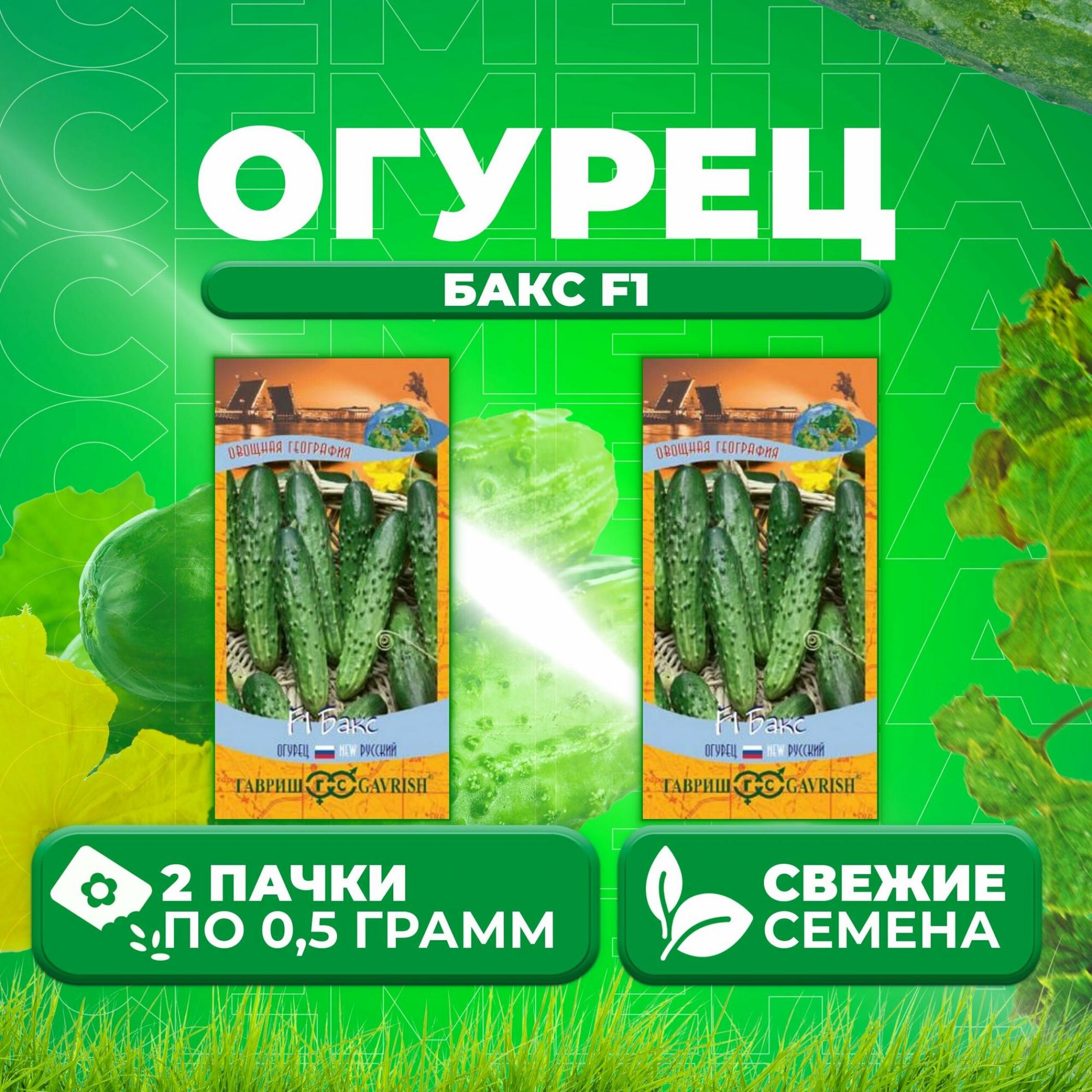 Огурец Бакс