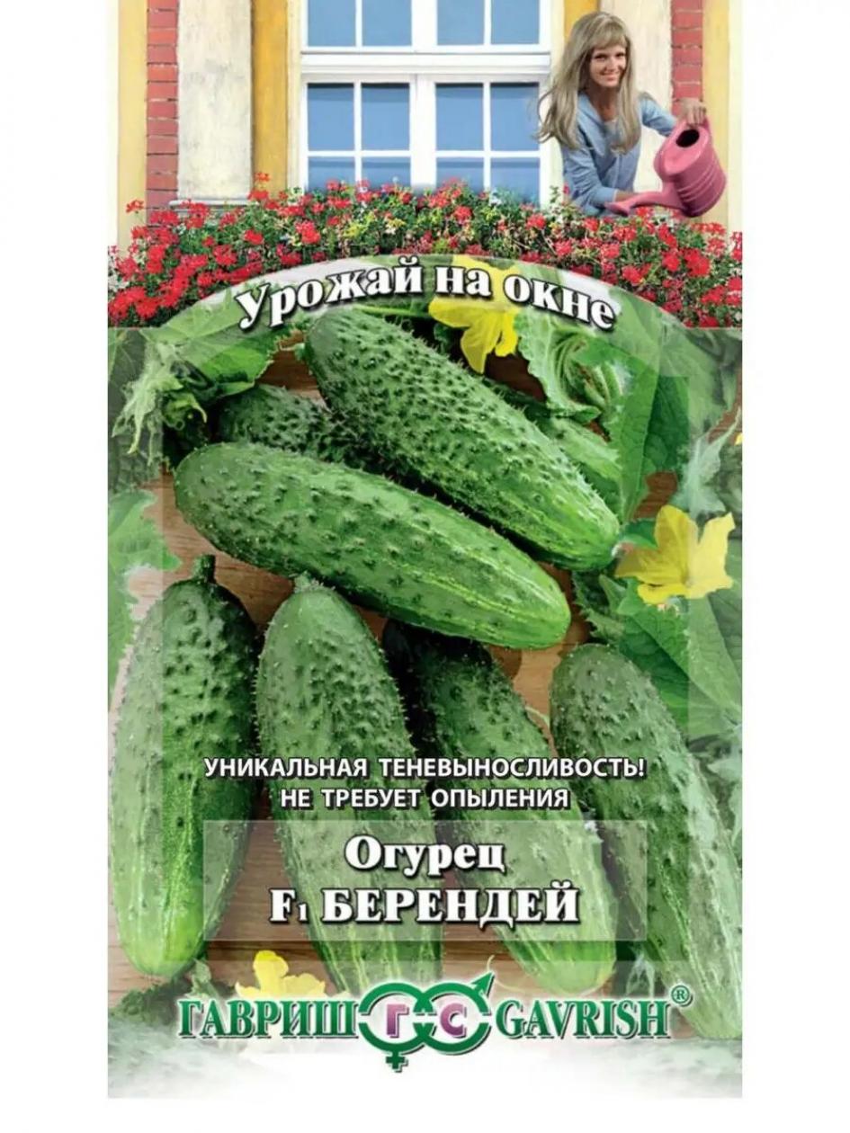 Огурец Берендей 2