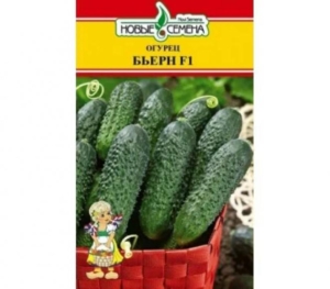 Огурец Бьерн