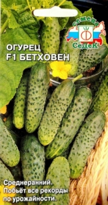 Огурец Бетховен