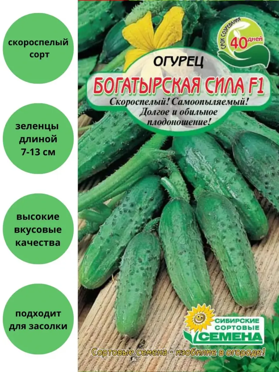 Огурец Богатырская сила 2