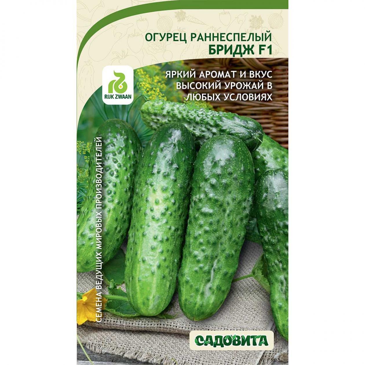 Огурец Бридж