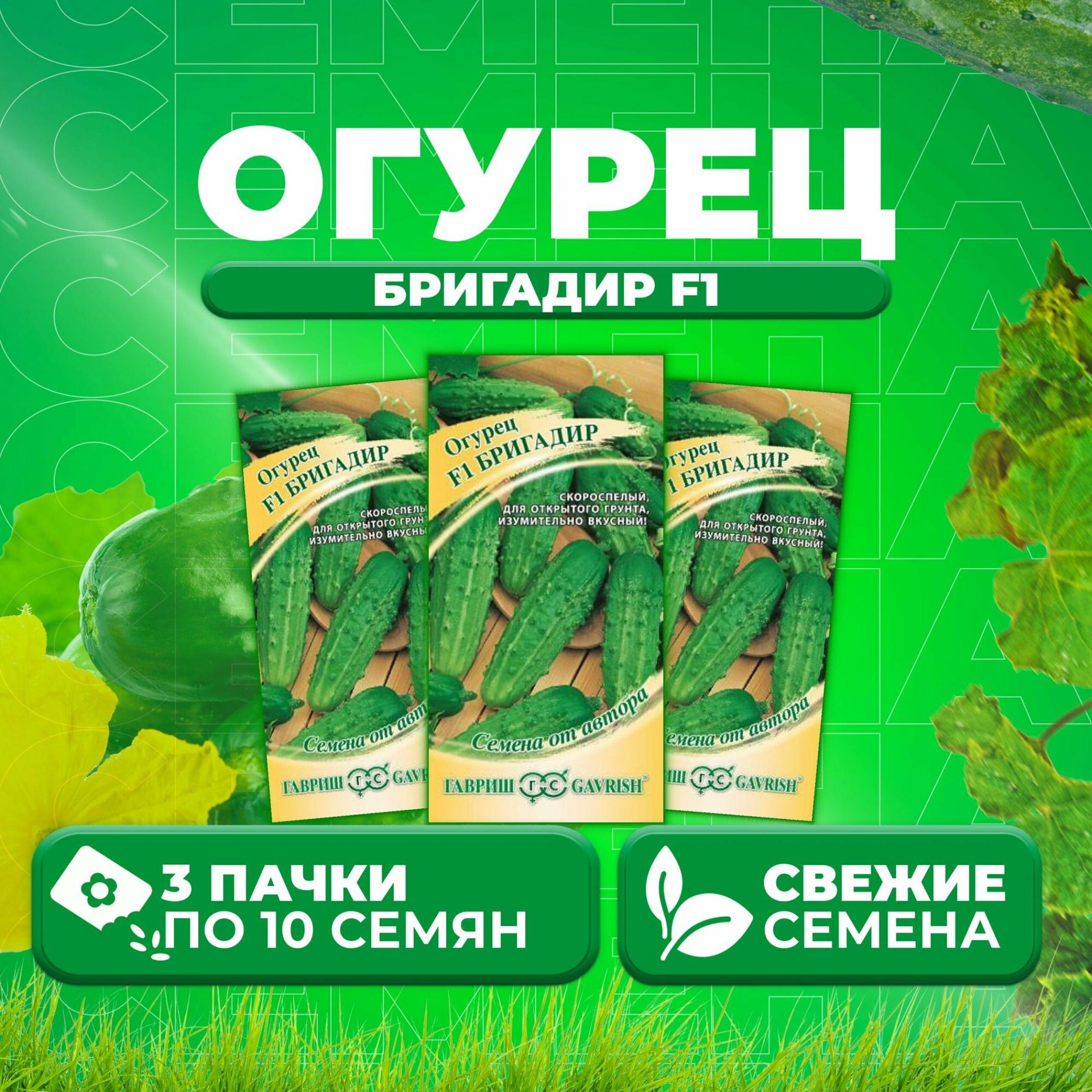 Огурец Бригадир 2