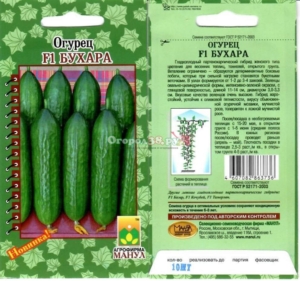 Огурец Бухара