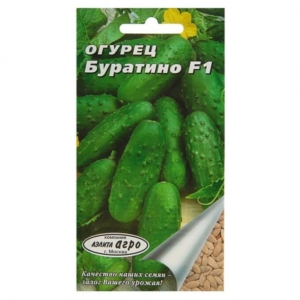 Огурец Буратино