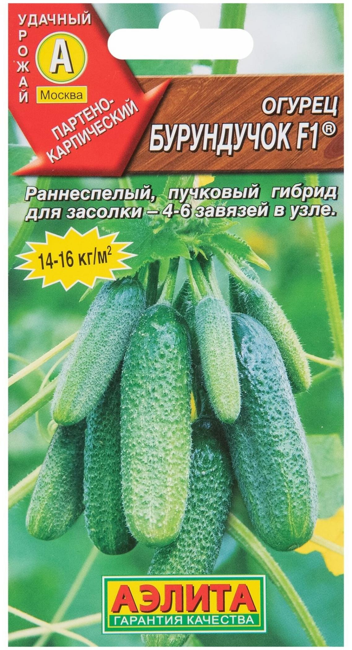 Огурец Бурундучок