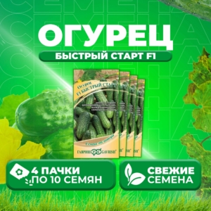 Огурец Быстрый старт