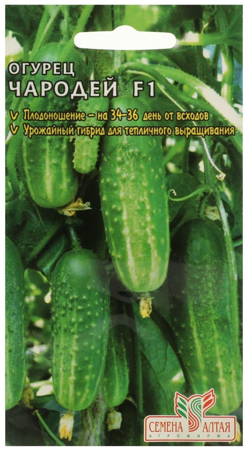 Огурец Чародей