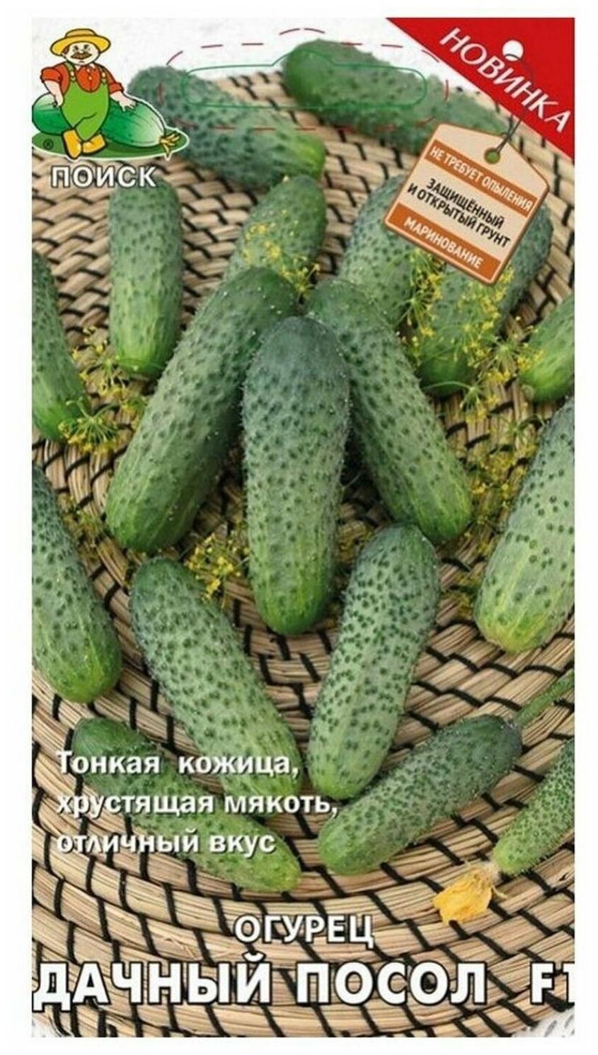 Огурец Дачный