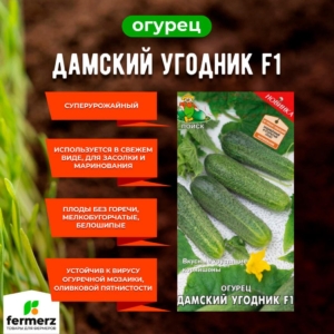 Огурец Дамский угодник