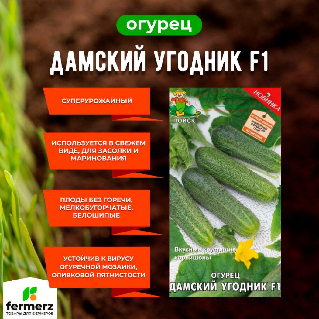 Огурец Дамский угодник