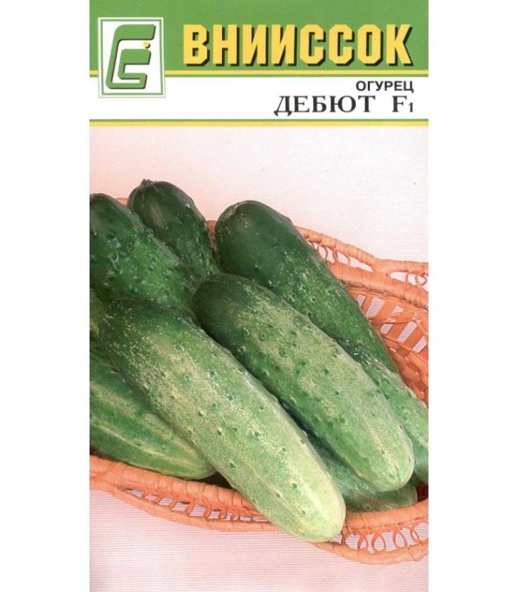 Огурец Дебют