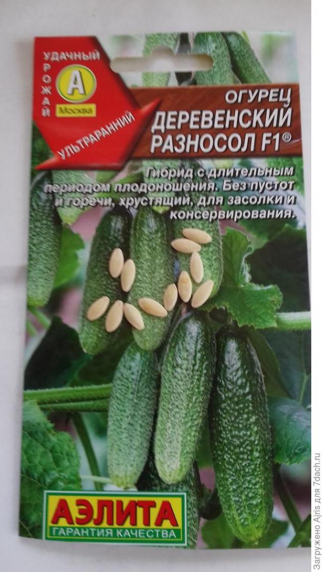 Огурец Деревенский разносол
