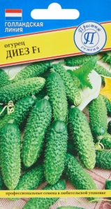 Огурец Диез
