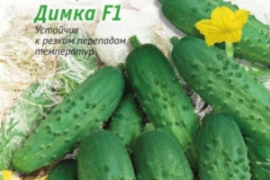 Огурец Димка