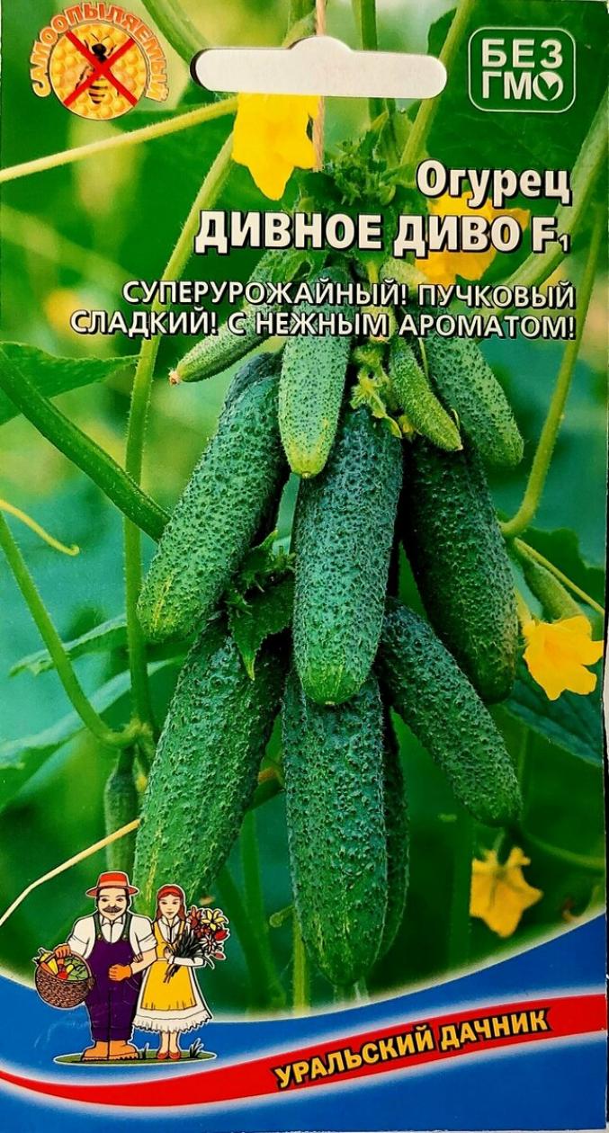 Огурец Диво дивное