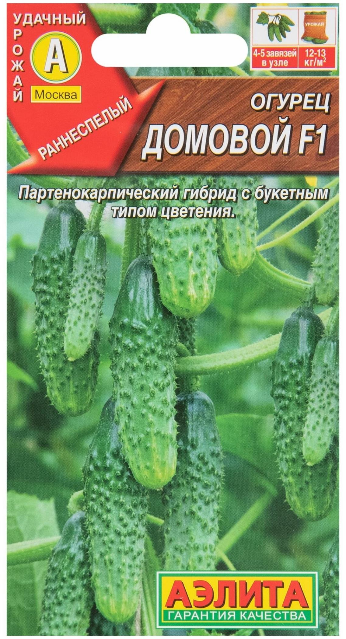 Огурец Домовой