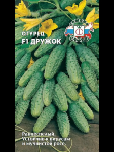 Огурец Дружок