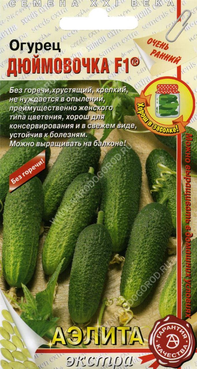 Огурец Дюймовочка